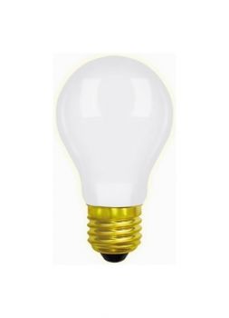 Photographic P2/1-Es Pf308E 240V 500W E27
