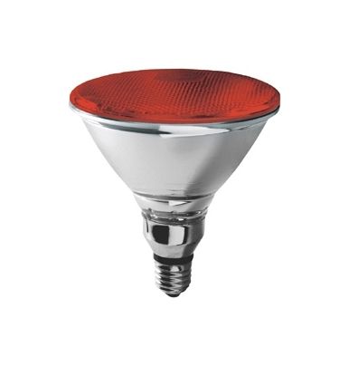 Par38 E27 Aluminium 80W Red 38° Halogen