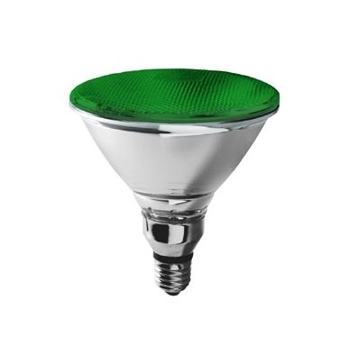 Par38 E27 Aluminium 80W Green 38° Halogen