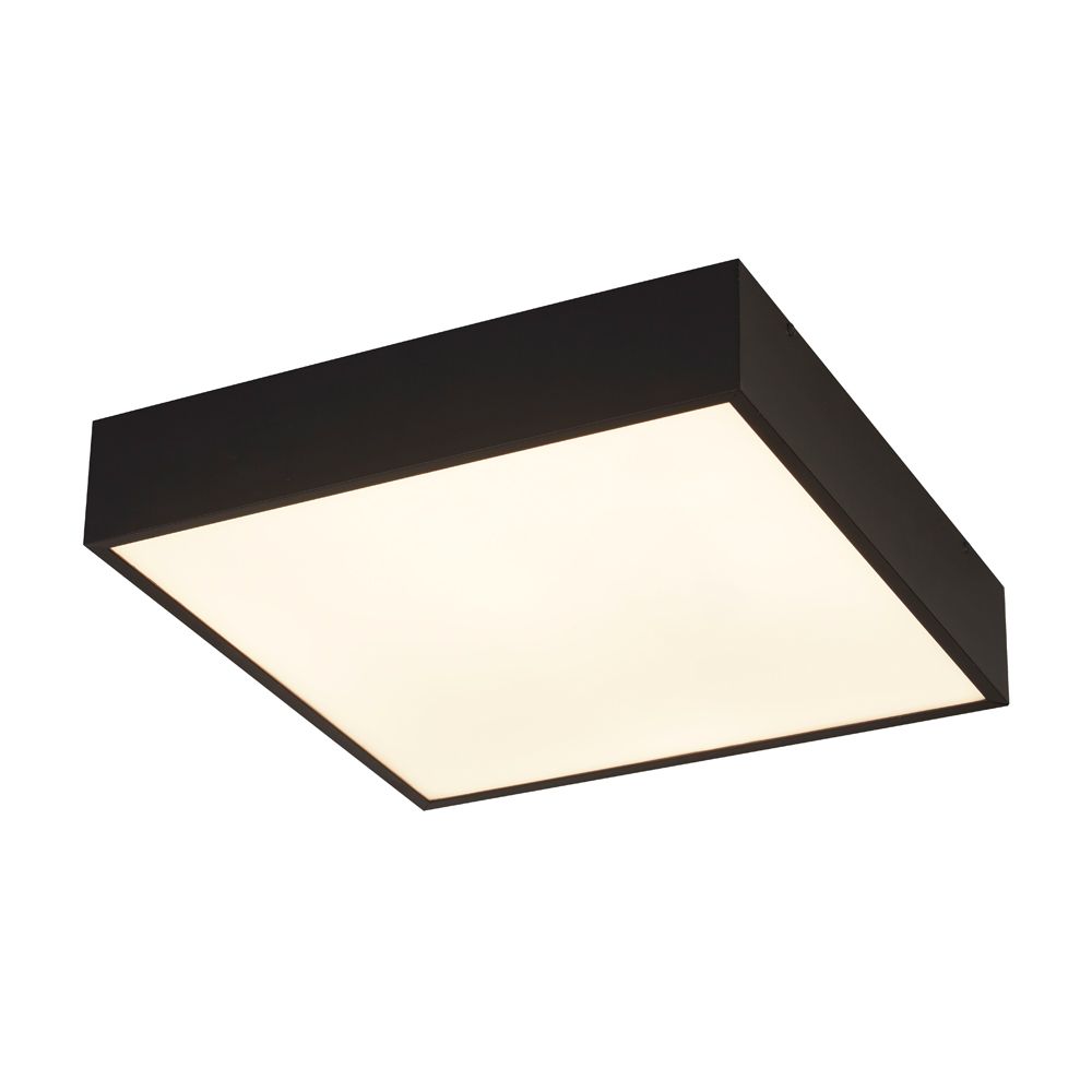 Zeus 1 Light LED Integrated IP44 Bathroom Flush Black Metal With Opal